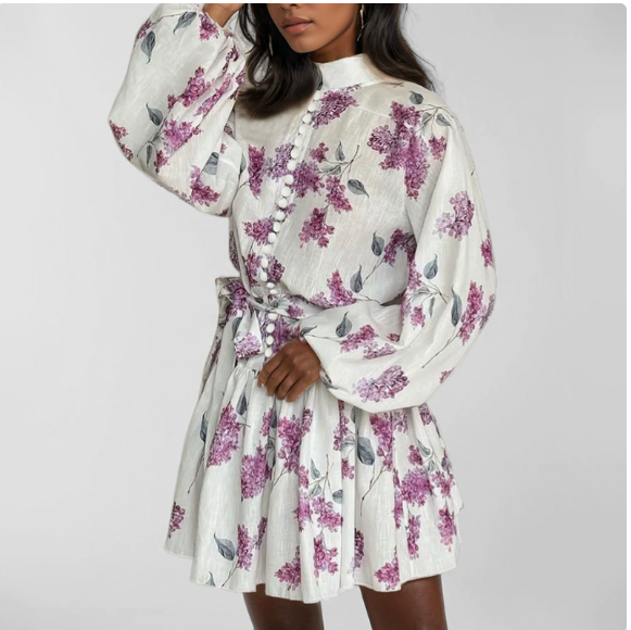 European and American women's spring new style palace style printed stand collar lace lantern sleeve dress